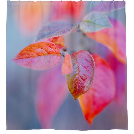 Majestic-lesters van Cotonou Douchegordijn (Voorkant)