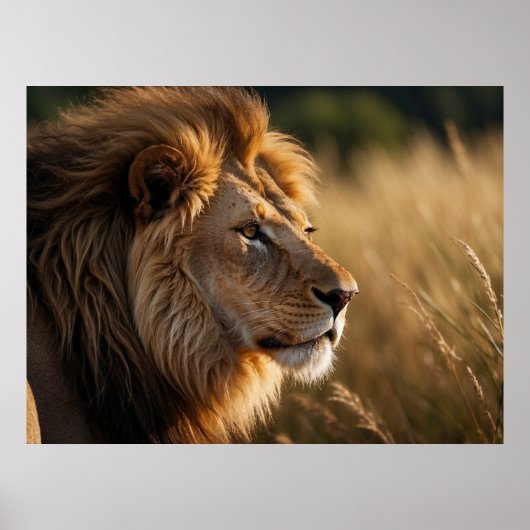 Majestic Lion Achtergrond Poster (Voorkant)