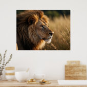 Majestic Lion Achtergrond Poster (Keuken)