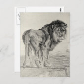  Majestic Lion Briefkaart (Voorkant / Achterkant)