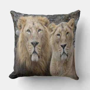 Majestic Lion Couple Kussen