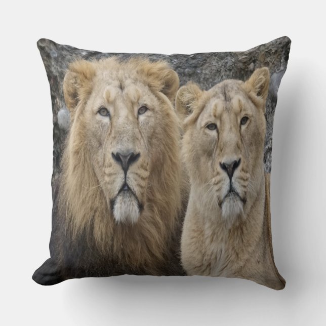 Majestic Lion Couple Kussen (Voorkant)