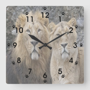 Majestic Lion Couple Vierkante Klok
