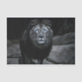 Majestic Lion Decoupage Tissuepapier (Voorkant)