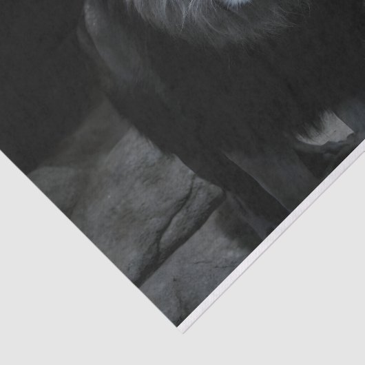 Majestic Lion Decoupage Tissuepapier (Detail)