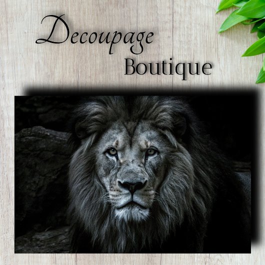 Majestic Lion Decoupage Tissuepapier