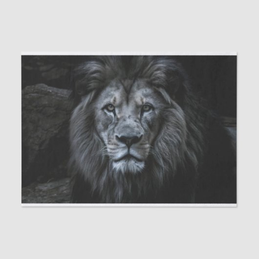 Majestic Lion Decoupage Tissuepapier (Voorkant)