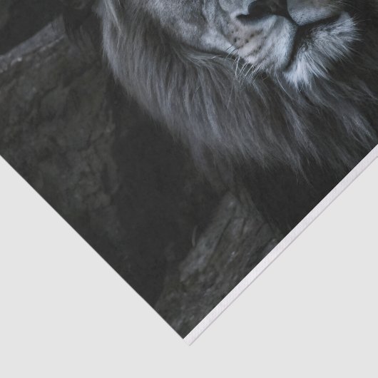 Majestic Lion Decoupage Tissuepapier (Detail)