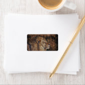 Majestic Lion Etiket (Insitu)