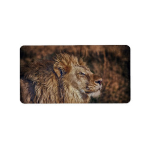 Majestic Lion Etiket