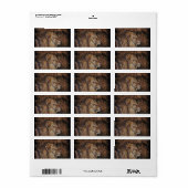 Majestic Lion Etiket (Full Sheet)