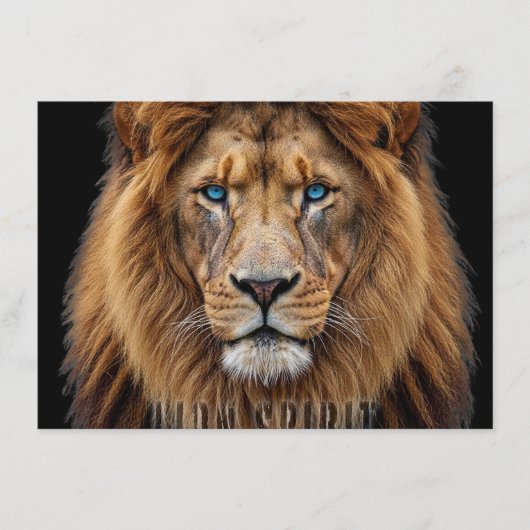 Majestic Lion Face with Blue Eyes | Wildlife Anima Menu (Voorkant)