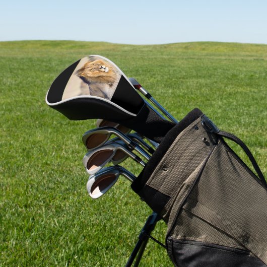 Majestic lion golfheadcover (Insitu)