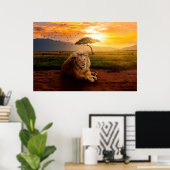 Majestic Lion in Afrika op zonsondergang Poster (Thuiskantoor)