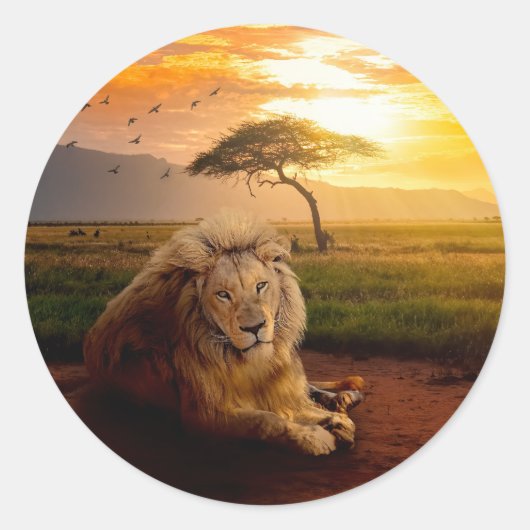 Majestic Lion in Afrika op zonsondergang Ronde Sticker (Voorkant)