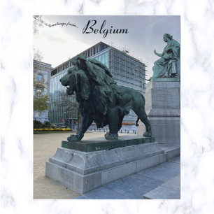 Majestic Lion in Brussel België Briefkaart