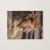 Majestic lion legpuzzel (Horizontaal)