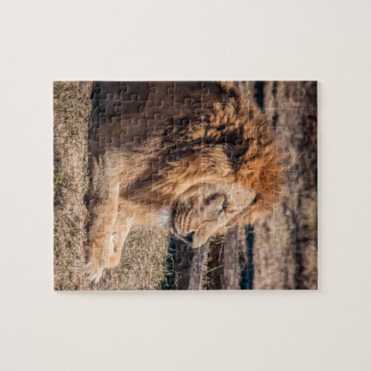 Majestic lion legpuzzel (Horizontaal)