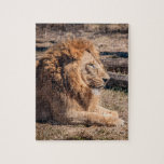 Majestic lion legpuzzel<br><div class="desc">Meisjesleeuw</div>