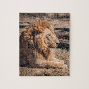 Majestic lion legpuzzel