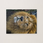 Majestic lion legpuzzel (Horizontaal)