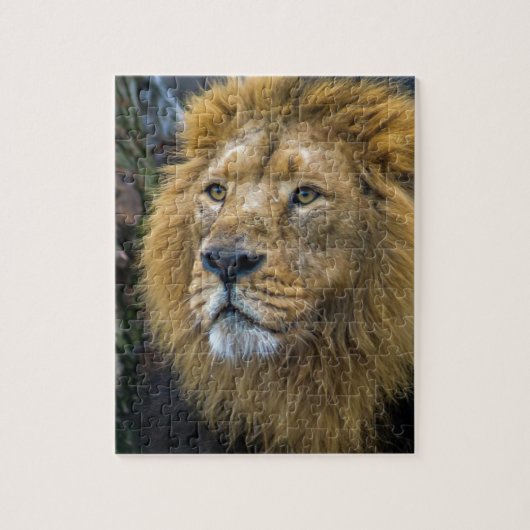Majestic lion legpuzzel (Verticaal)