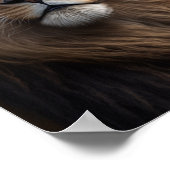 Majestic Lion met prachtige mannetjes Poster (Hoek)