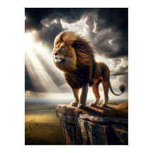 Majestic Lion op Cliff - Inspirerend Wildlife