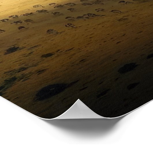 Majestic Lion op Cliff - Inspirerend Wildlife Poster (Hoek)