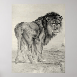  Majestic Lion Poster