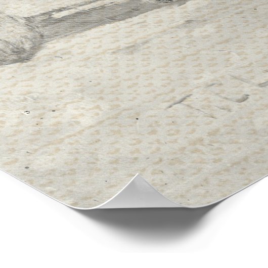  Majestic Lion Poster (Hoek)