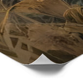 Majestic Lion Poster (Hoek)