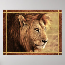 Majestic Lion Sideway Foto Poster