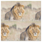 Majestic lion stof (Close Up)