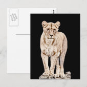 Majestic Lioness Briefkaart (Voorkant / Achterkant)