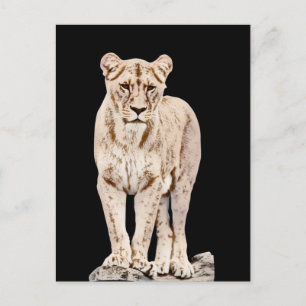 Majestic Lioness Briefkaart