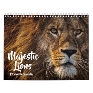 Majestic Lions 2025 Kalender