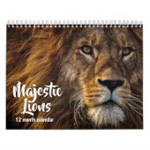 Majestic Lions 2026 Kalender (Hoes)