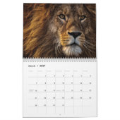 Majestic Lions 2026 Kalender (Mar 2027)