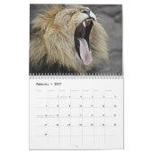 Majestic Lions 2026 Kalender (Feb 2027)