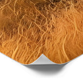 Majestic Lions die door Verdant Field zwerven Poster (Hoek)