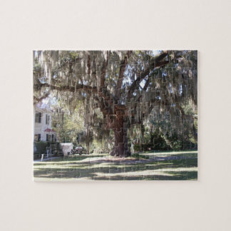 Majestic Live Oak Puzzle Legpuzzel