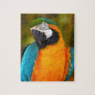 Majestic Macaw Legpuzzel