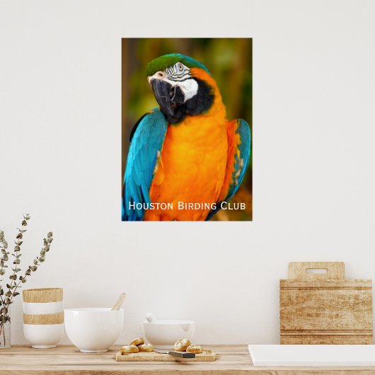 Majestic Macaw Poster (Keuken)