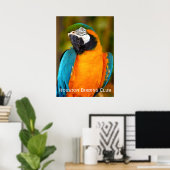 Majestic Macaw Poster (Thuiskantoor)