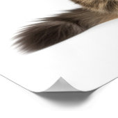 Majestic Maine Coon Art Poster (Hoek)