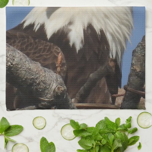 Majestic Mature Bald Eagle in Nest Theedoek (Gevouwen)