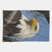 Majestic Mature Bald Eagle in Nest Theedoek (Horizontaal)