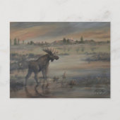 Majestic Moose Briefkaart (Voorkant)