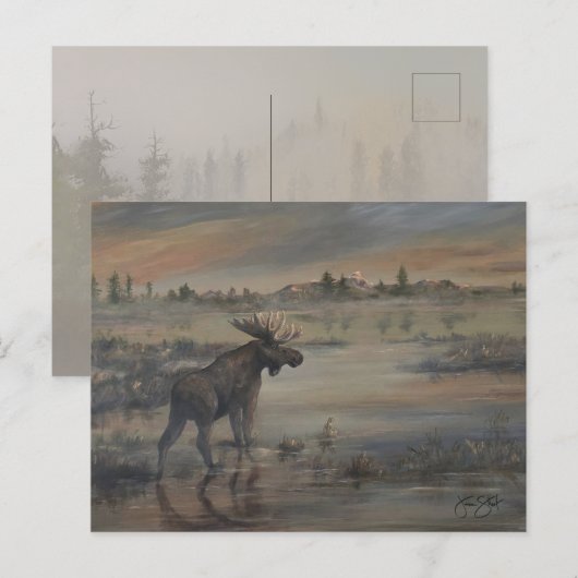 Majestic Moose Briefkaart (Voorkant / Achterkant)
